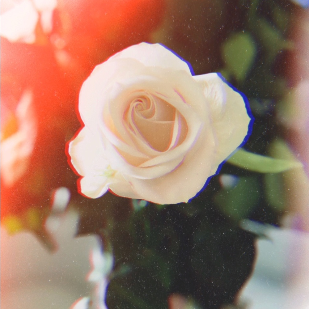 Meet your Posher, Alessandra